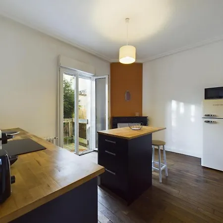 Ana's Silky Appartement Nancy